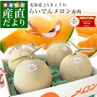 ＪＡきょうわ らいでんメロン  産地だよりのサムネイル画像