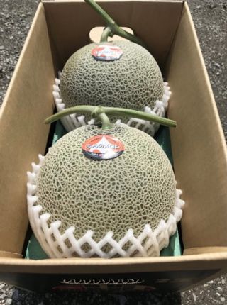 富良野メロン（赤肉）大玉／各1.6～2.0kg　2個入り ジュラファーム富良野のサムネイル画像 1枚目