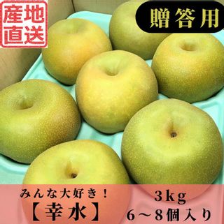 幸水梨/3㎏/6~8個入り 大彦園のサムネイル画像 1枚目