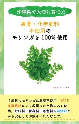 モリンガフルーツ青汁 美らの恵みのサムネイル画像 3枚目