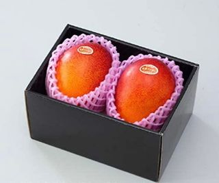 マンゴー みやざき完熟マンゴー 赤秀 2Lサイズ  はちやフルーツのサムネイル画像 1枚目