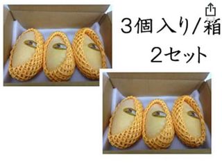 タイ産マンゴー ナムドクマイ種 の画像 2枚目