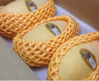 タイ産マンゴー ナムドクマイ種 の画像 1枚目