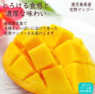 完熟マンゴー 約650ｇ　2玉化粧箱入 おひさまとくだもののサムネイル画像 1枚目