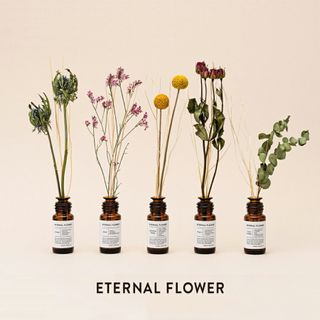 【ETERNAL FLOWER】ドライフラワーリードディフューザー ローズフローラル 株式会社リーモ・トロージェンのサムネイル画像 1枚目