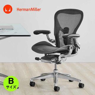 アーロンチェア - グラファイト/ポリッシュドアルミニウム Herman Miller（ハーマンミラー）のサムネイル画像