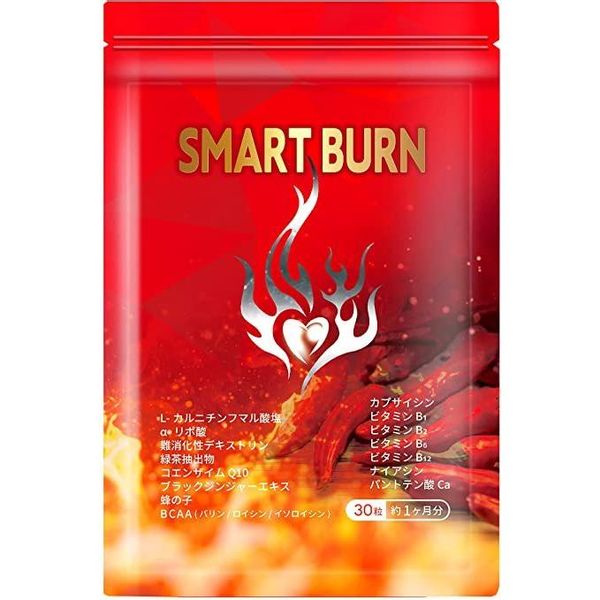 SMART BURNの画像