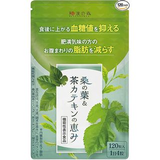 桑の葉&茶カテキンの恵み 株式会社和漢のサムネイル画像 1枚目