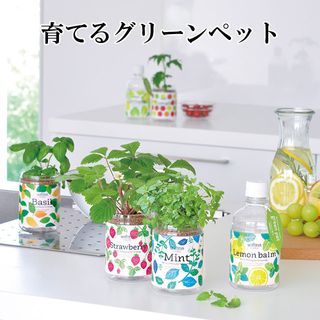 グリーンペット 聖新陶芸のサムネイル画像 1枚目