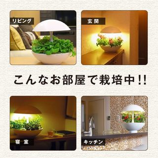 水耕栽培キット 灯菜 アカリーナAkarina01 MotoM（モトム）のサムネイル画像 3枚目