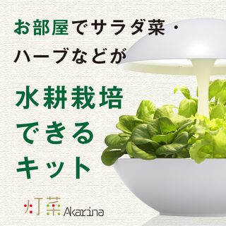 水耕栽培キット 灯菜 アカリーナAkarina01 MotoM（モトム）のサムネイル画像 2枚目