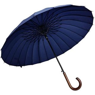 日傘兼用雨傘の画像 1枚目