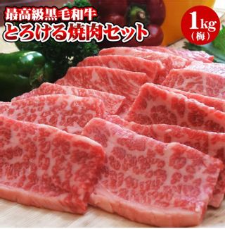 とろける焼肉セット 阿波牛の藤原のサムネイル画像