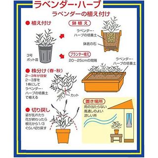 ラベンダー・ハーブの培養土 10L 刀川平和農園のサムネイル画像 3枚目