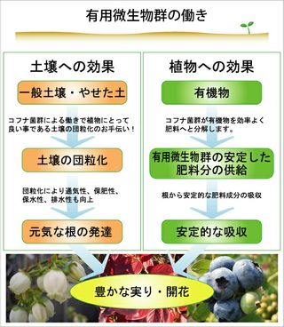 ブルーベリーの土（肥料入り）14L 花ひろばオンライン株式会社のサムネイル画像 3枚目