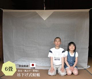 天然素材蚊帳 片麻製の画像 2枚目