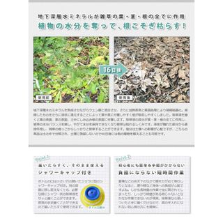 庭師さんのミネラル除草液 2L PROIDEA（プロイデア）のサムネイル画像 2枚目