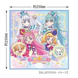わんだふるぷりきゅあ! 抗菌 おしぼりセットの画像 2枚目