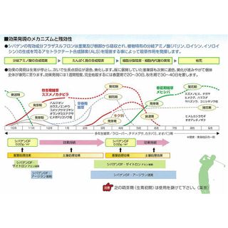 シバゲンDF水和剤20g 石原産業(株)のサムネイル画像 3枚目