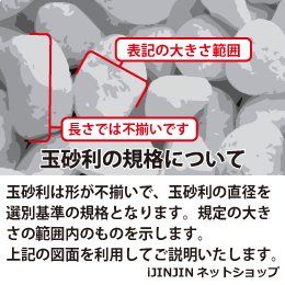 最高級白玉砂利  2分小袋 650g 株式会社アイジンジンのサムネイル画像 3枚目