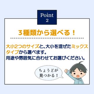 石灰白栗石 10kg入り  井上建設のサムネイル画像 3枚目