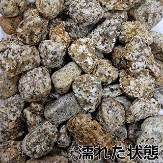 伊勢ゴロタ 1寸 20kgの画像 2枚目