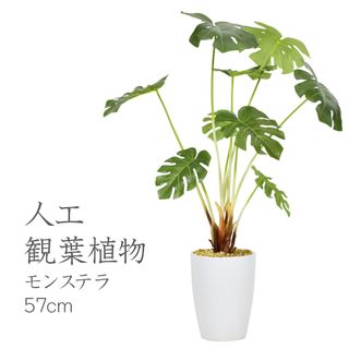 人工観葉植物 光触媒 モンステラ57cm Doris（ドリス）のサムネイル画像 1枚目