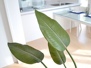 人工観葉植物 ストレリチア・レギネ ロングスクエア陶器鉢 株式会社フラワーコーポレーションのサムネイル画像 2枚目