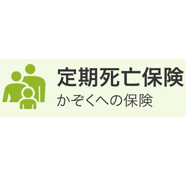 かぞくへの保険 ライフネット生命のサムネイル画像 1枚目