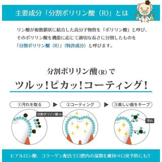 ポリグリン（POLYGRIN） オーラルローション 薬用液体歯磨き 300mlの画像 2枚目