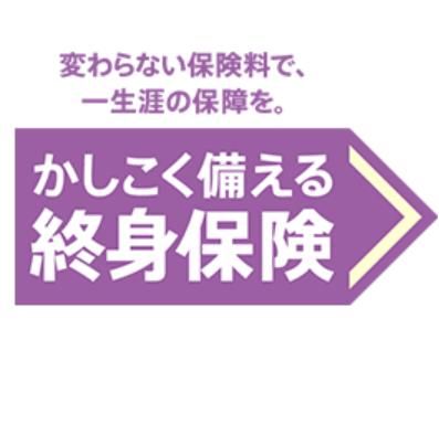 かしこく備える終身保険の画像