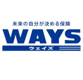 未来の自分が決める保険WAYS アフラックのサムネイル画像