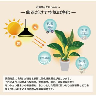 人工観葉植物  ドラセナの画像 2枚目