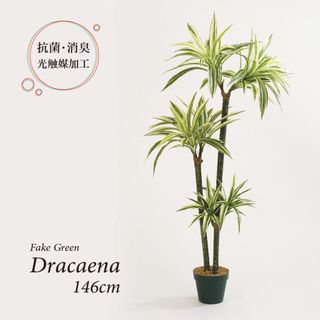 人工観葉植物  ドラセナの画像 1枚目