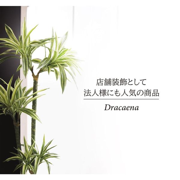 人工観葉植物  ドラセナ 恵月人形本舗のサムネイル画像 3枚目