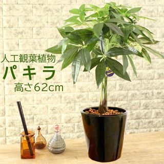 パキラ 人工観葉植物 CoCoCanフラワーのサムネイル画像 1枚目