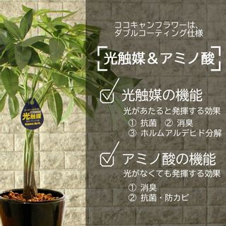 パキラ 人工観葉植物の画像 3枚目