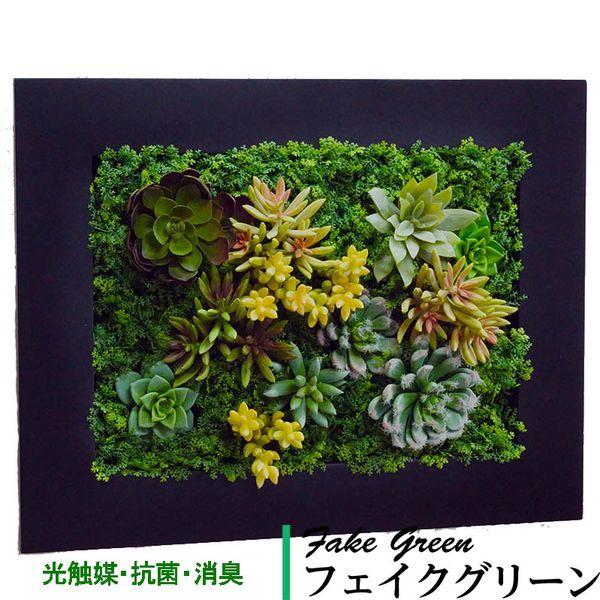 壁掛け グリーンフレーム 多肉植物 ブラック（光触媒）の画像