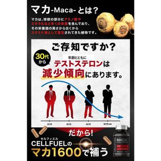 マカ1600 CELLFUEL（セルフィエル）のサムネイル画像 3枚目