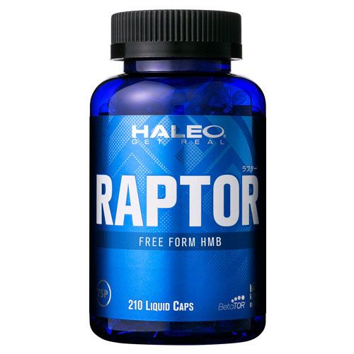 RAPTORの画像