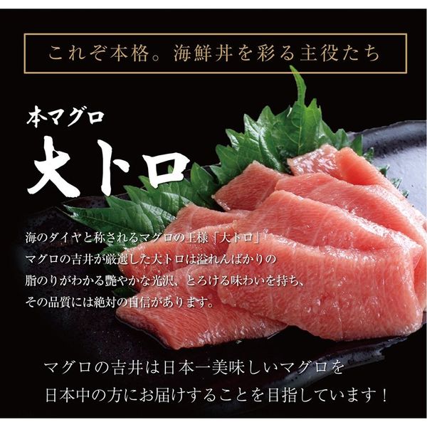 手軽に本格海鮮丼（海鮮5食丼） マグロの吉井のサムネイル画像 3枚目