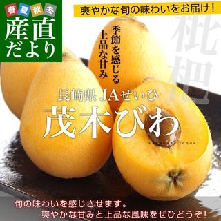 長崎県 ”茂木びわ” 赤秀品 大玉 L～2Lサイズ 約650g前後 くらし快援隊のサムネイル画像 1枚目
