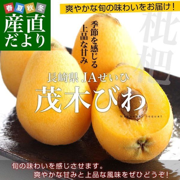 長崎県 ”茂木びわ” 赤秀品 大玉 L～2Lサイズ 約650g前後の画像