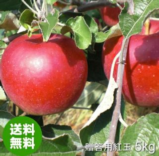 青森県産りんご紅玉 贈答用 みちのく処 わっつどのサムネイル画像 1枚目