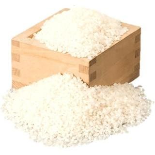 愛知県弥富市産のお米から生まれたコメヌカコスメ お米のボディソープ 500ml 2個入りの画像 3枚目