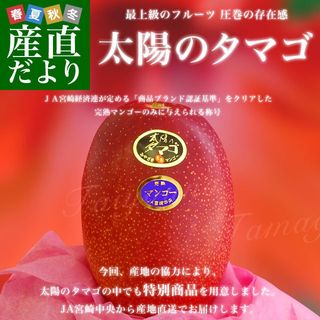 マンゴー(太陽のたまご)2Lサイズ 産直だよりのサムネイル画像