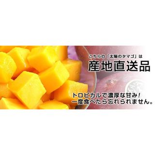 マンゴー(太陽のたまご)2Lサイズ 産直だよりのサムネイル画像 2枚目