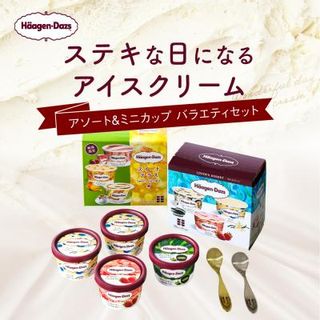 金と銀のスプーン同梱 ハーゲンダッツアイスクリーム アソート&ミニカップの画像 1枚目