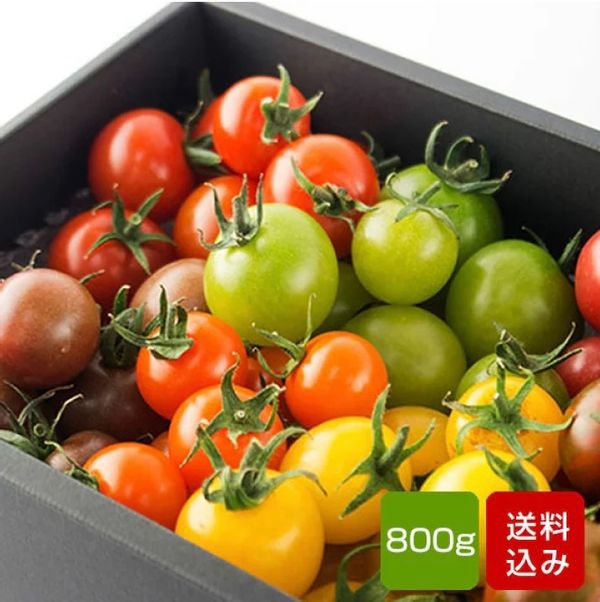 トマトの宝石箱 フルーツトマトの詰め合わせの画像