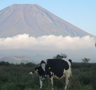 富士山プレミアム牛乳1リットルパックの画像 2枚目